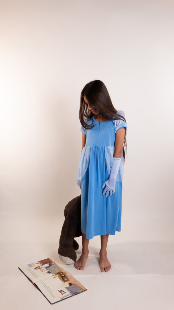 La Princesa de la Zapatilla