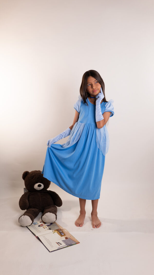 La Princesa de la Zapatilla