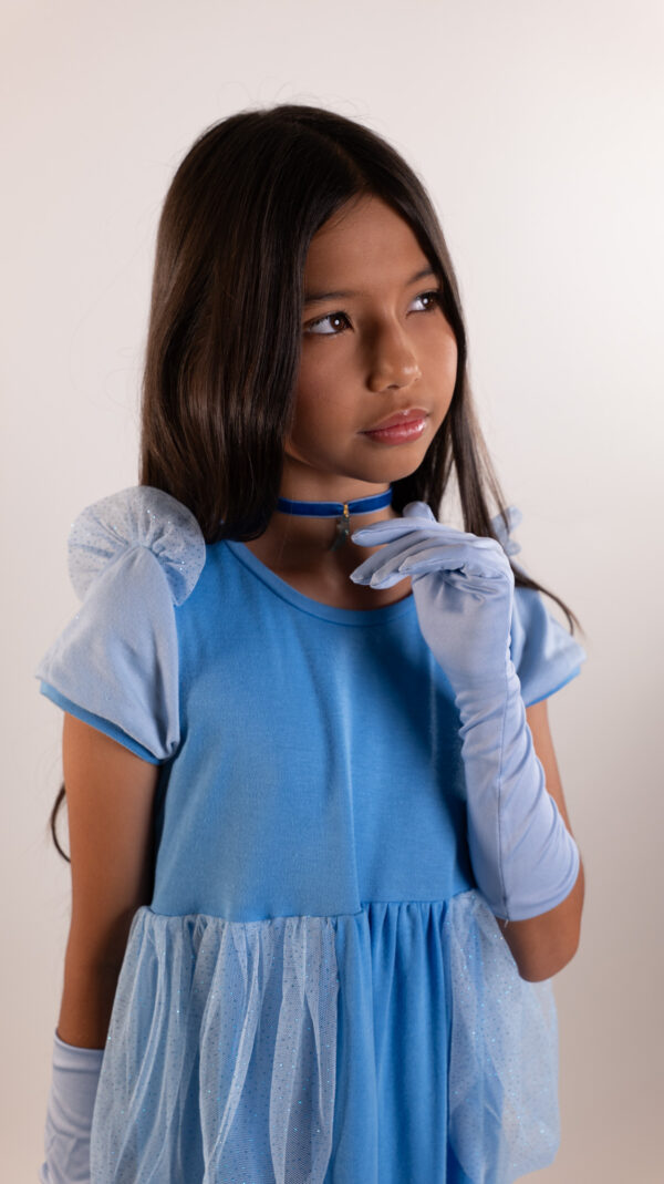 La Princesa de la Zapatilla