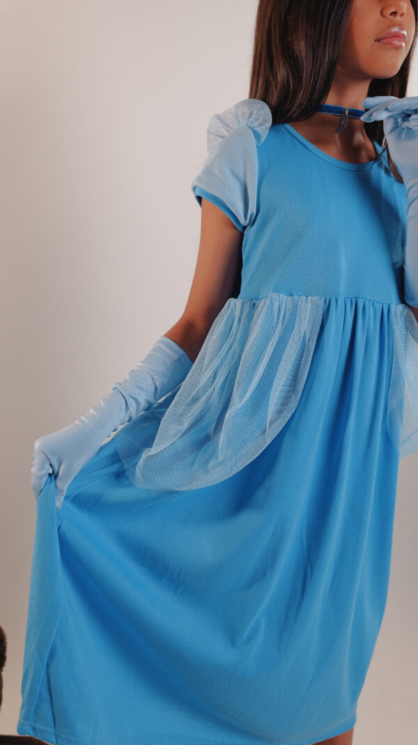 La Princesa de la Zapatilla